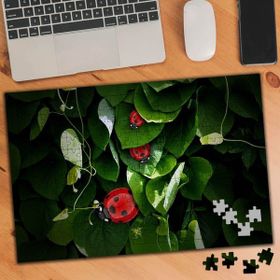 75123 Sarmaşıklar Arasında Uğur Böceği 240 Parça Puzzle Yapboz