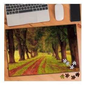 75134 Yürüyüş Yolu Tabiat Harikası 240 Parça Puzzle Yapboz