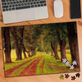 75134 Yürüyüş Yolu Tabiat Harikası 240 Parça Puzzle Yapboz