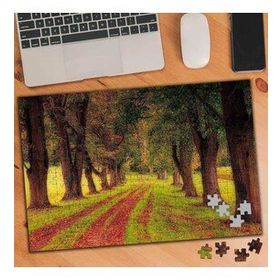 75134 Yürüyüş Yolu Tabiat Harikası 240 Parça Puzzle Yapboz
