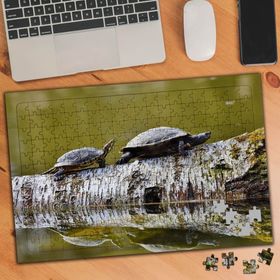 75135 Anne ve Yavru Kaplumbağa 240 Parça Puzzle Yapboz