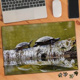 75135 Anne ve Yavru Kaplumbağa 240 Parça Puzzle Yapboz