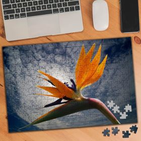 75138 Bulutlu Gökyüzü Renkli Çiçek 240 Parça Puzzle Yapboz