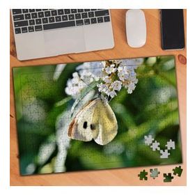 75154 Minik Çiceğe Konan Kelebek 240 Parça Puzzle Yapboz