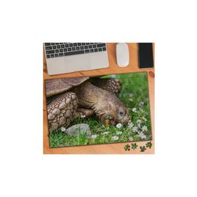 75158 Papatyalar ve Yaşlı Kaplumbağa 240 Parça Puzzle Yapboz