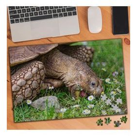 75158 Papatyalar ve Yaşlı Kaplumbağa 240 Parça Puzzle Yapboz