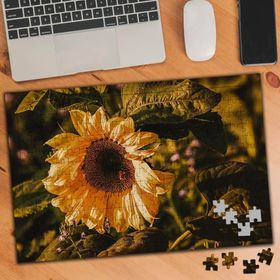 75163 Sarı Ayçiçeği Naturel Bitki 240 Parça Puzzle Yapboz