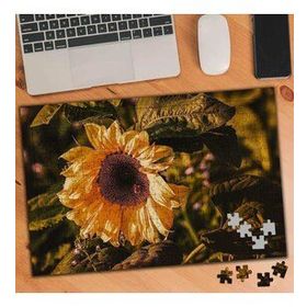 75163 Sarı Ayçiçeği Naturel Bitki 240 Parça Puzzle Yapboz