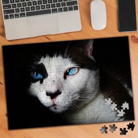 75228 Mavi Gözlü Agrasif Kedi 240 Parça Puzzle Yapboz