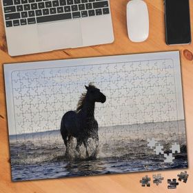 75231 Sahil Kenarında Koşan At 240 Parça Puzzle Yapboz