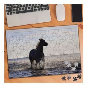 75231 Sahil Kenarında Koşan At 240 Parça Puzzle Yapboz