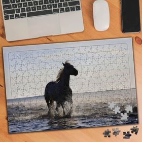 75231 Sahil Kenarında Koşan At 240 Parça Puzzle Yapboz