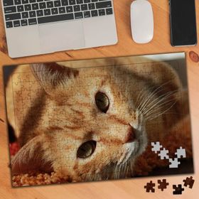 75232 Sarı Tüylü Sevimli Kedi 240 Parça Puzzle Yapboz