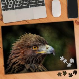 75234 Şahin Yırtıcı Kuş Türü 240 Parça Puzzle Yapboz
