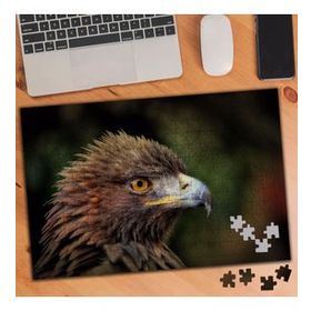 75234 Şahin Yırtıcı Kuş Türü 240 Parça Puzzle Yapboz
