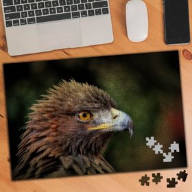 75234 Şahin Yırtıcı Kuş Türü 240 Parça Puzzle Yapboz