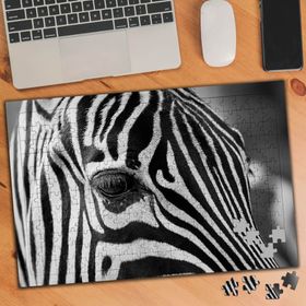 75236 Yakın Çekim Zebra Hayvan 240 Parça Puzzle Yapboz