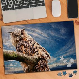 75262 Dala Konmuş Baykuş Gökyüzü 240 Parça Puzzle Yapboz