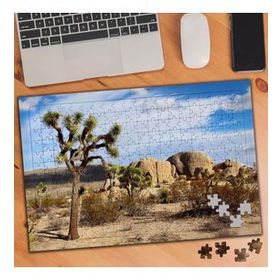 75277 Kuru Toprak Ağaç ve Kayalıklar 240 Parça Puzzle Yapboz