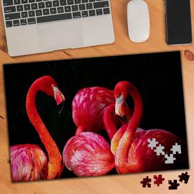 75283 Renkli Tüylü Flamingo Kuşları 240 Parça Puzzle Yapboz