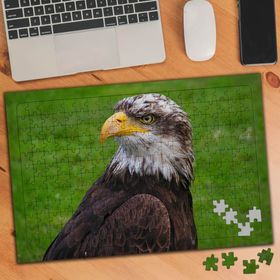 75291 Yırtıcı Kuş Kartal 240 Parça Puzzle Yapboz