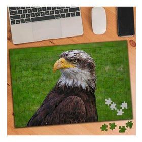 75291 Yırtıcı Kuş Kartal 240 Parça Puzzle Yapboz