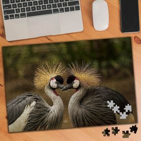 75293 Zarif İki Kuş Türü 240 Parça Puzzle Yapboz