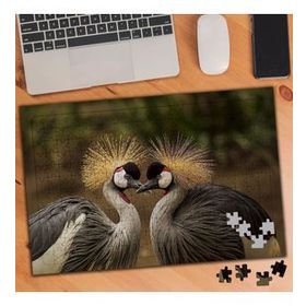 75293 Zarif İki Kuş Türü 240 Parça Puzzle Yapboz
