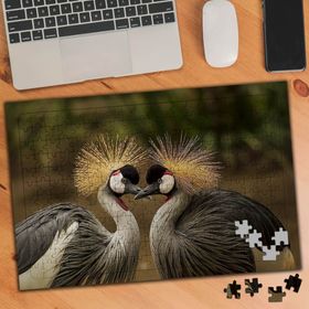 75293 Zarif İki Kuş Türü 240 Parça Puzzle Yapboz