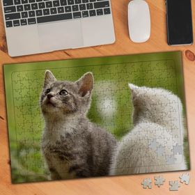 75315 Sevimli İki Yavru Kedi 240 Parça Puzzle Yapboz