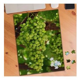 75381 Üzüm Asma Ağacı Meyve 240 Parça Puzzle Yapboz