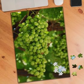 75381 Üzüm Asma Ağacı Meyve 240 Parça Puzzle Yapboz