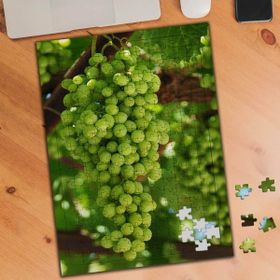 75381 Üzüm Asma Ağacı Meyve 240 Parça Puzzle Yapboz