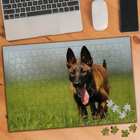 75416 Alman Kurt Köpeği 240 Parça Puzzle Yapboz