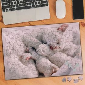 75417 Anne Kedi Ve Yavruları 240 Parça Puzzle Yapboz