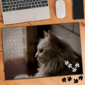 75419 Beyaz Tüylü Sevimli Kedi 240 Parça Puzzle Yapboz
