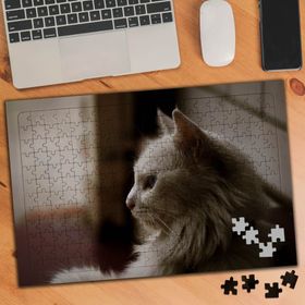 75419 Beyaz Tüylü Sevimli Kedi 240 Parça Puzzle Yapboz