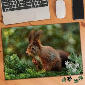 75420 Çam Ağacındaki Sevimli Sincap 240 Parça Puzzle Yapboz