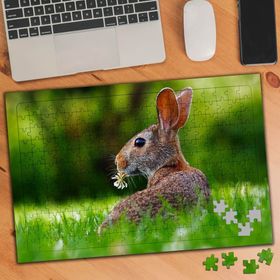 75421 Çimenlerin Arasında Yabani Tavşan 240 Parça Puzzle Yapboz
