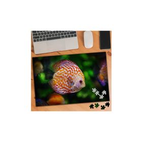 75429 Denizde Renkli Balon Balığı 240 Parça Puzzle Yapboz