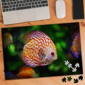 75429 Denizde Renkli Balon Balığı 240 Parça Puzzle Yapboz