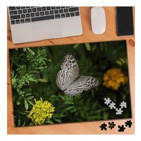 75430 Desenli Kelebek Tabiat Harikası 240 Parça Puzzle Yapboz