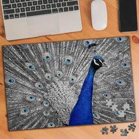 75448 Gri ve Mavi Tüylü Tavus Kuşu 240 Parça Puzzle Yapboz