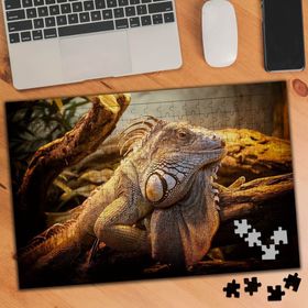 75451 İguana Sürüngen Hayvan 240 Parça Puzzle Yapboz