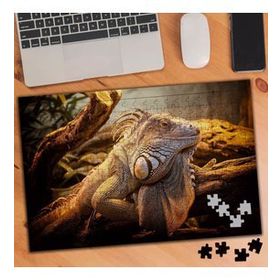75451 İguana Sürüngen Hayvan 240 Parça Puzzle Yapboz