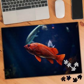 75459 Mavi Suda Yüzen Turuncu Balık 240 Parça Puzzle Yapboz