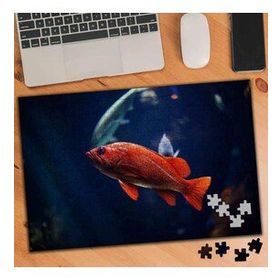 75459 Mavi Suda Yüzen Turuncu Balık 240 Parça Puzzle Yapboz