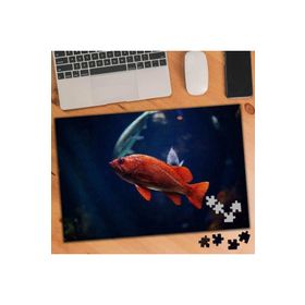 75459 Mavi Suda Yüzen Turuncu Balık 240 Parça Puzzle Yapboz