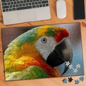 75463 Renkli Afrika Papağanı 240 Parça Puzzle Yapboz