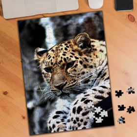 75465 Saldıraya Hazır Vahşi Leopar 240 Parça Puzzle Yapboz